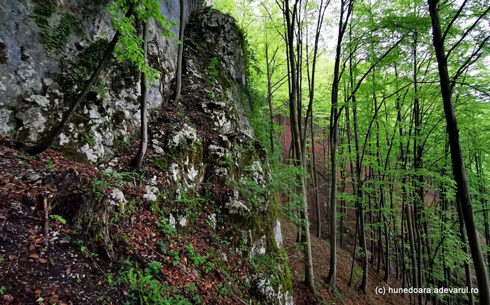 Piatra Bodii. Foto: Daniel Guță. ADEVĂRUL