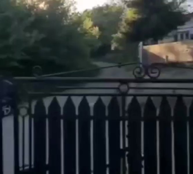 Comună de lângă orașul Buzău, terorizată de urși. Animalele se apropie de casele oamenilor VIDEO