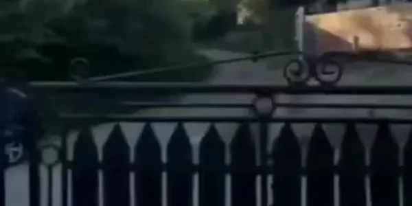 344919561 6344445405608120 1745842413912164182 n mp4 thumbnail png