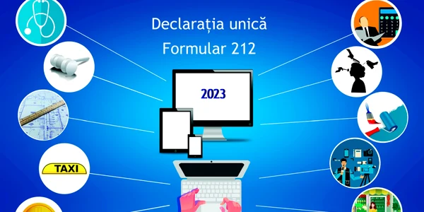 Declarația unică