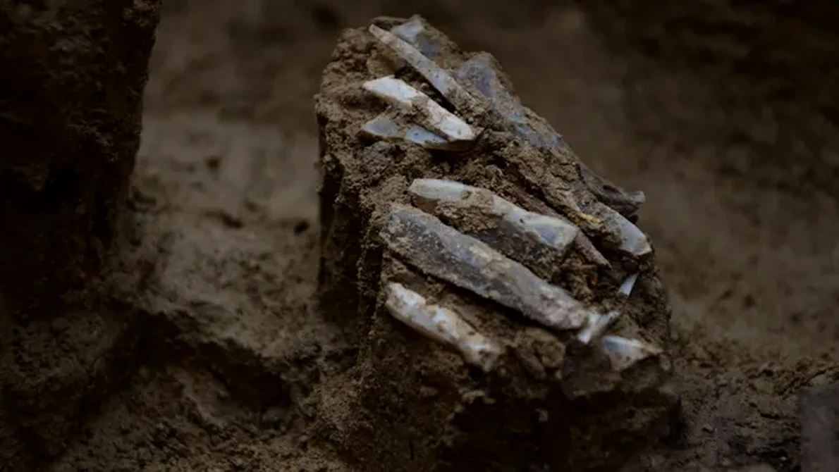 „Trusa personală de unelte”, veche de 30.000 de ani, a unui vânător-culegător din Epoca de Piatră (© Martin Novák / Live Science)
