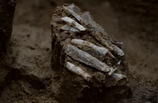 „Trusa personală de unelte”, veche de 30.000 de ani, a unui vânător-culegător din Epoca de Piatră (© Martin Novák / Live Science)
