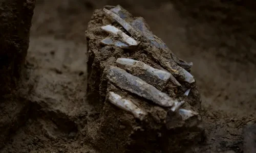 „Trusa personală de unelte”, veche de 30.000 de ani, a unui vânător-culegător din Epoca de Piatră (© Martin Novák / Live Science)