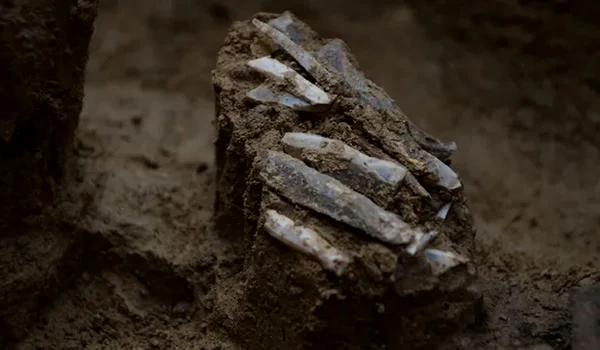 „Trusa personală de unelte”, veche de 30.000 de ani, a unui vânător-culegător din Epoca de Piatră (© Martin Novák / Live Science)