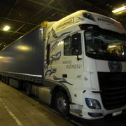 Șofer de TIR prins cand transporta droguri FOTO Profimedia 