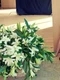 jennifer aniston instagram jpg