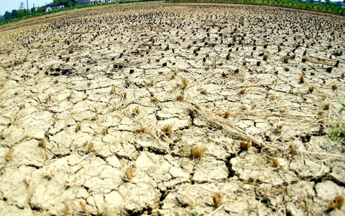 Statul va aloca 40 de milioane de euro pentru sprijinirea fermierilor afectaţi de secetă FOTO; Mediafax