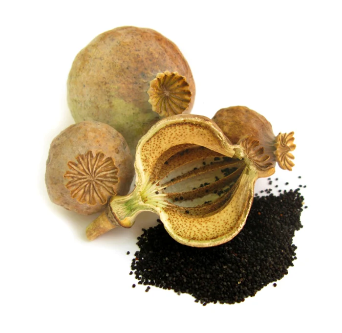 
    Seminţele de mac sunt bogate în acid linoleic, eficient împotriva afecțiunilor cardiovasculare.www.clicksanatate.ro  