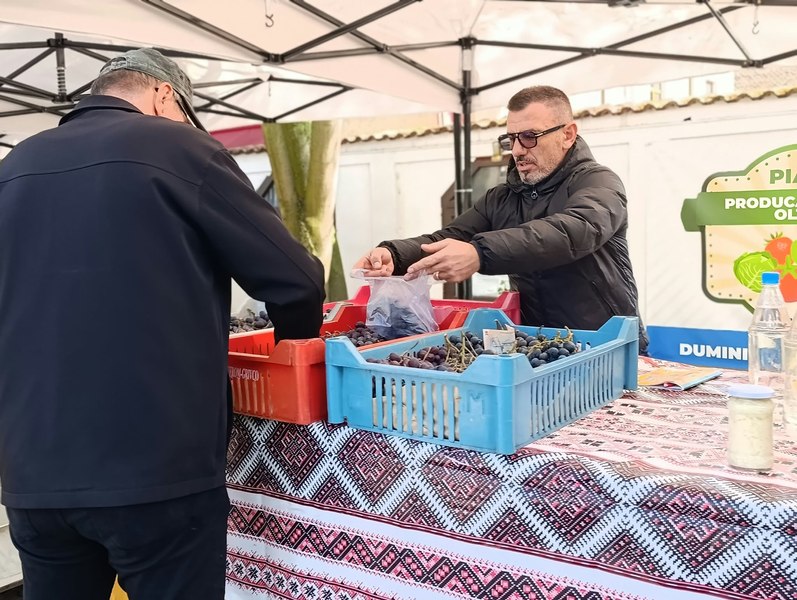 De la 3.000 de euro pe lună în Spania, la o livadă în Olt. De ce s-a întors acasă un român după 12 ani