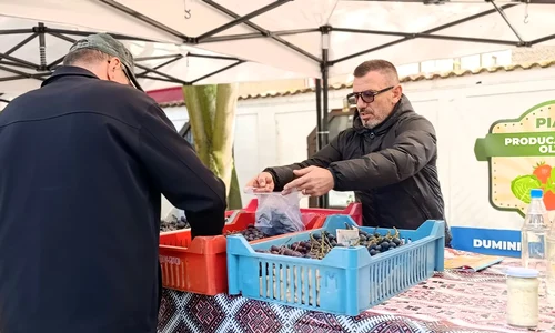 pomicultor costin dumitru, livada mariei,  priseaca, olt   foto alina mitran (8) jpeg