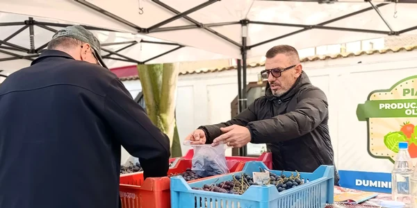 pomicultor costin dumitru, livada mariei,  priseaca, olt   foto alina mitran (8) jpeg
