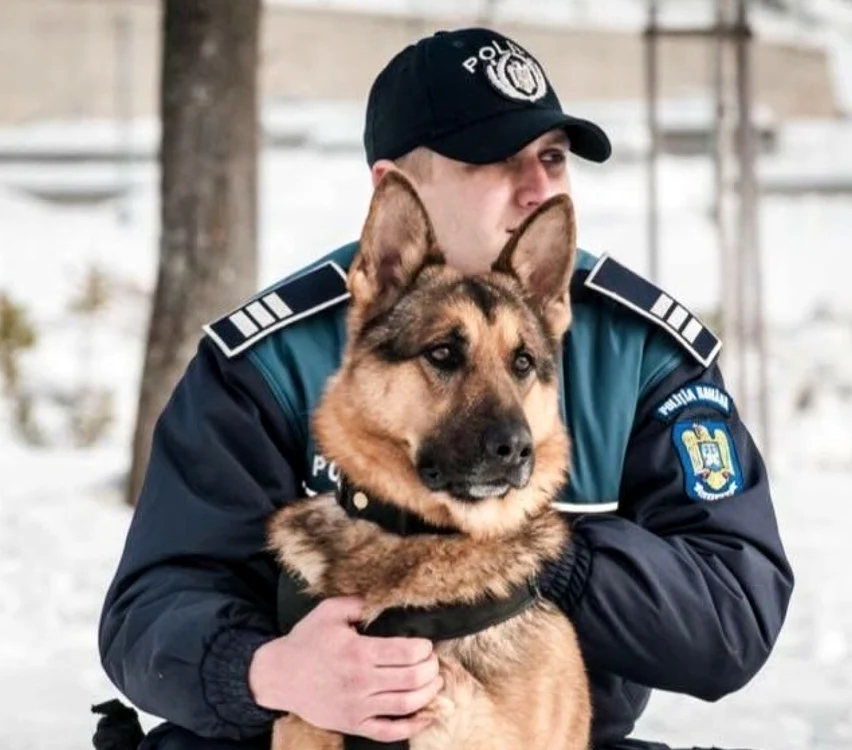 Cainele Max a descoperit hoţul în scurt timp    Foto: IPJ MM