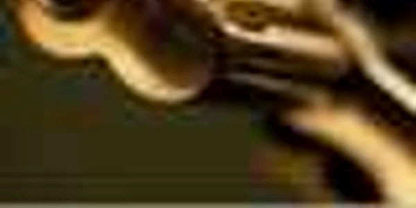 17 narcomani internaţi la dezintoxicare au fost ucişi - Revista presei internaţionale