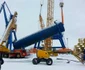 Macara gigant