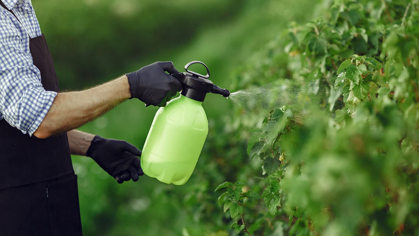 Rolul esential al adjuvantilor in optimizarea pesticidelor jpg