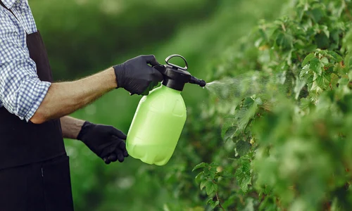 Rolul esential al adjuvantilor in optimizarea pesticidelor jpg