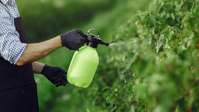 Rolul esential al adjuvantilor in optimizarea pesticidelor jpg