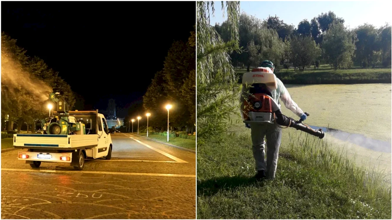 Dezinsecție în București