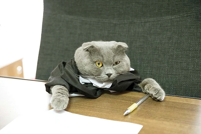 
    Boss participă şi la şedinţeFoto: Guliver/Rexfeatures  