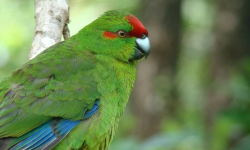 1 57693 original jpg jpeg