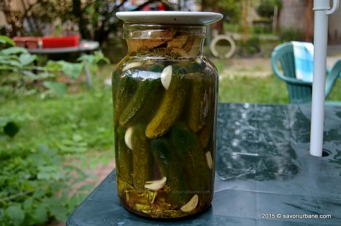 
    Foto: savoriurbane.com  