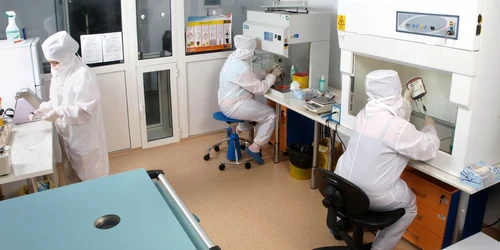 După recoltare, celulele stem trec printr-o serie de analize