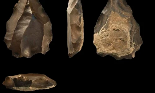 O nouă teorie: când a început de fapt răspândirea speciei umane? jpeg