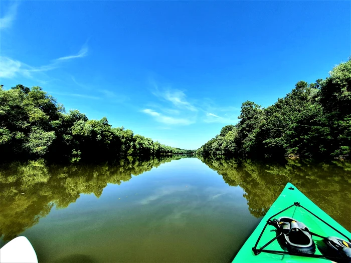 „Delta în miniatură” FOTO: Romsilva-Parcul Natural „Balta Mică a Brăilei