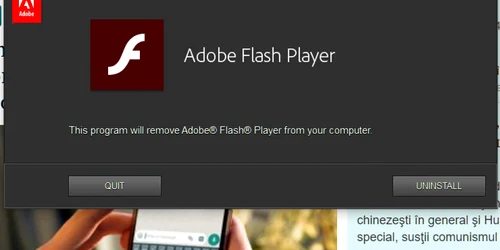 Dezinstalare Adobe Flash Player