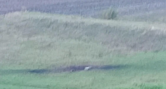 Fragmentele de rachetă au fost depistate în nordul Rep. Moldova. FOTO: Border.gov.md