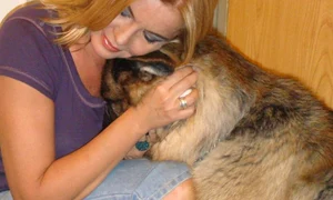 cristina topescu caine jpeg