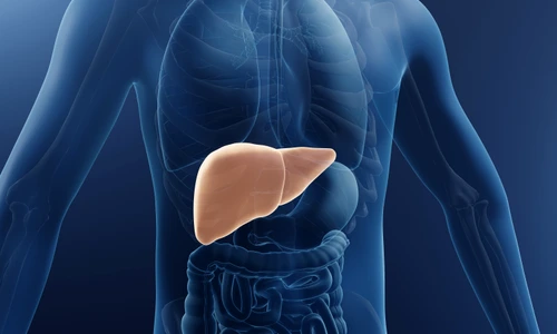 ficat ilustratie shutterstock 2121419810 jpeg