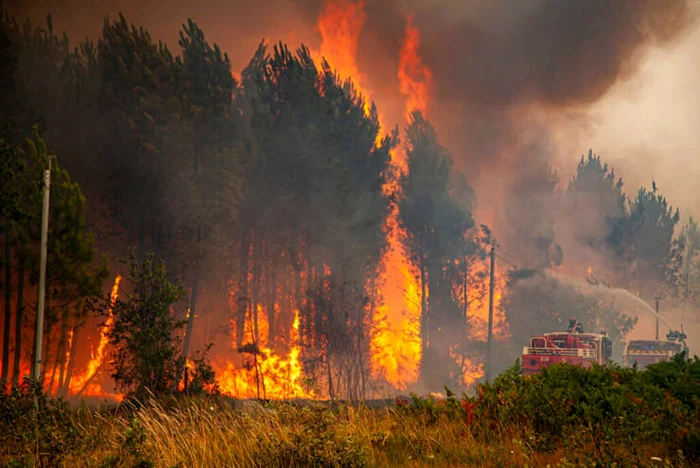 Incendiile din Franţa au scăpat de sub control FOTO RFI.ro Sursa Brigada Pompieri Gironde