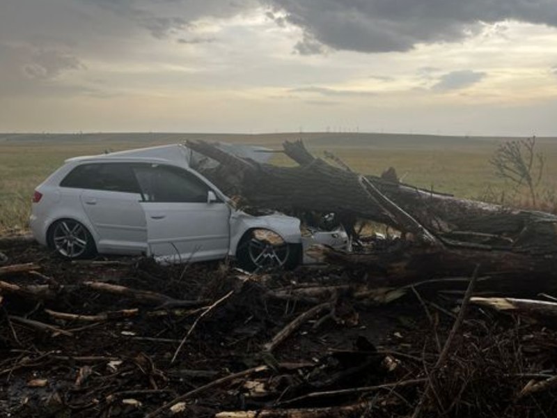 Patru persoane, printre care doi copii, internate după ce un copac a căzut peste autoturismul în care se aflau