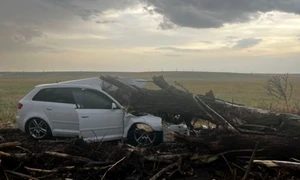 copac cazut peste masina foto isu teleorman png