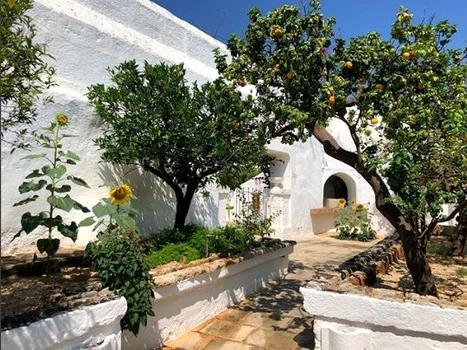 Delia Italia 2018 1 jpeg