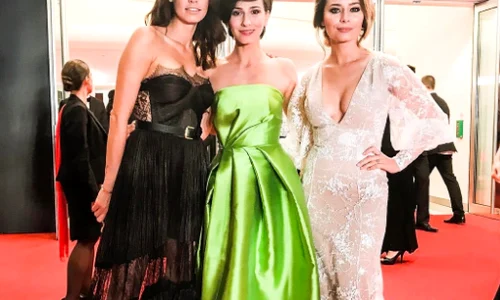 andreea raicu, cosoi, rogoz png