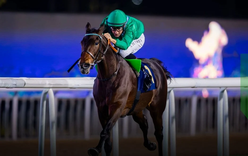 Cursa pentru evacuarea unora dintre cei mai valoroși cai de competiție din lume, în contextul războiului din Iran