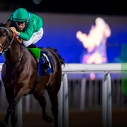 cai de curse2 /FOTO:X