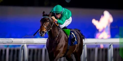 cai de curse2 /FOTO:X