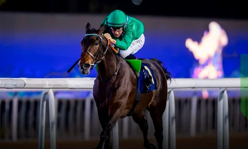 cai de curse2 /FOTO:X