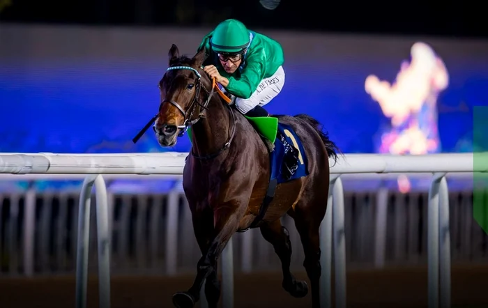 150 de cai, scoși din Doha/FOTO:X