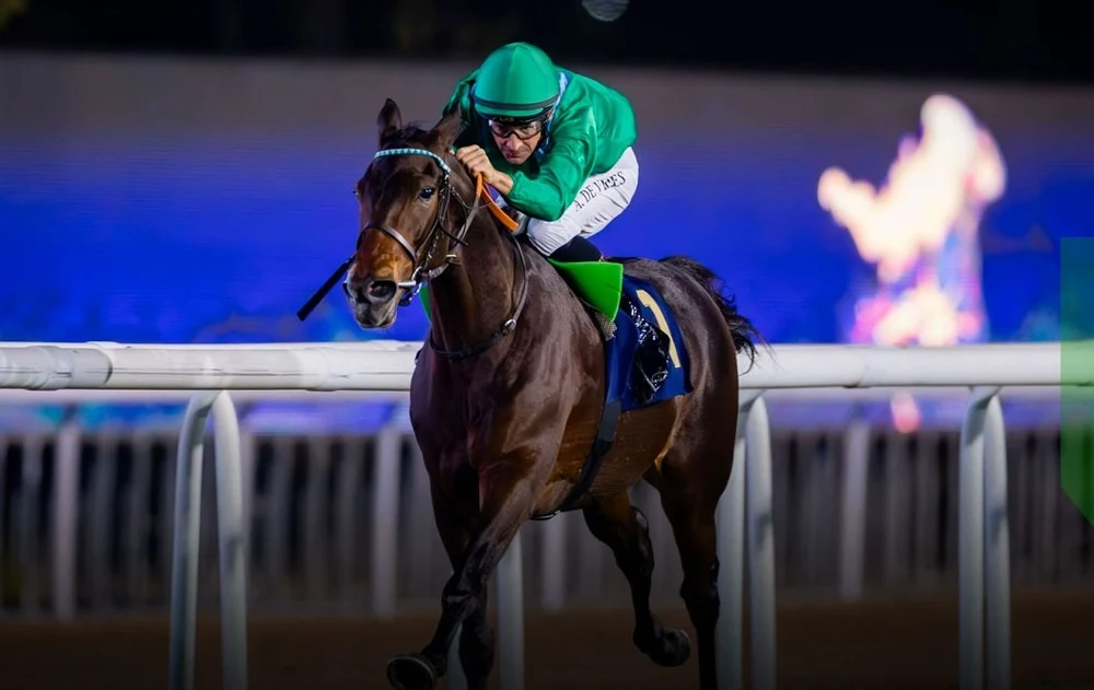 Cursa pentru evacuarea unora dintre cei mai valoroși cai de competiție din lume, în contextul războiului din Iran