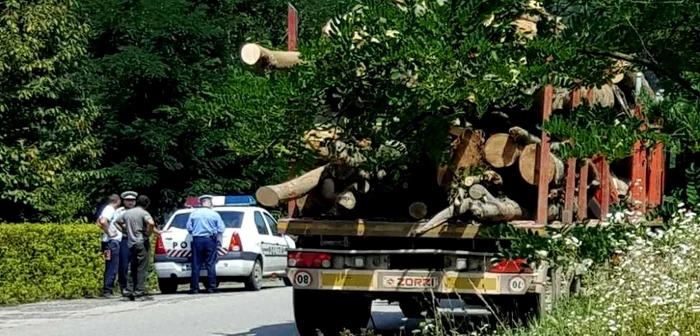 Un şef de post din Suceava a coordonat mai multe transporturi ilegale de lemn. FOTO Adevărul