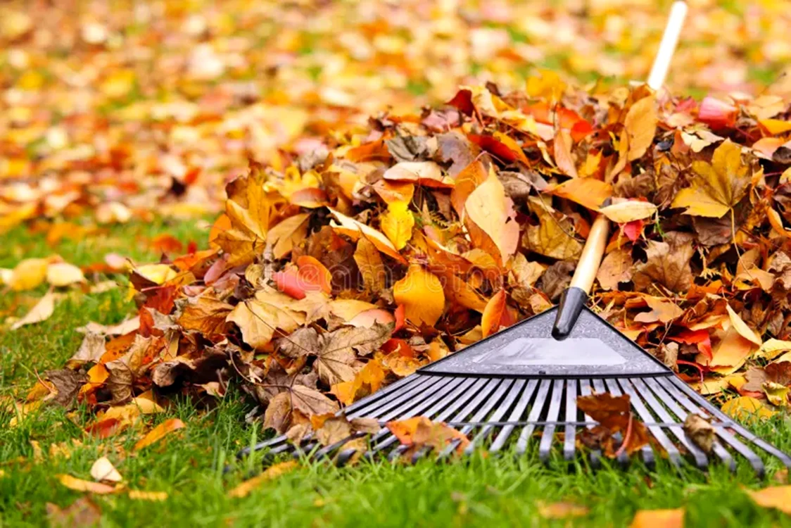 Cerul va fi variabil spre senin. FOTO: dreamstime