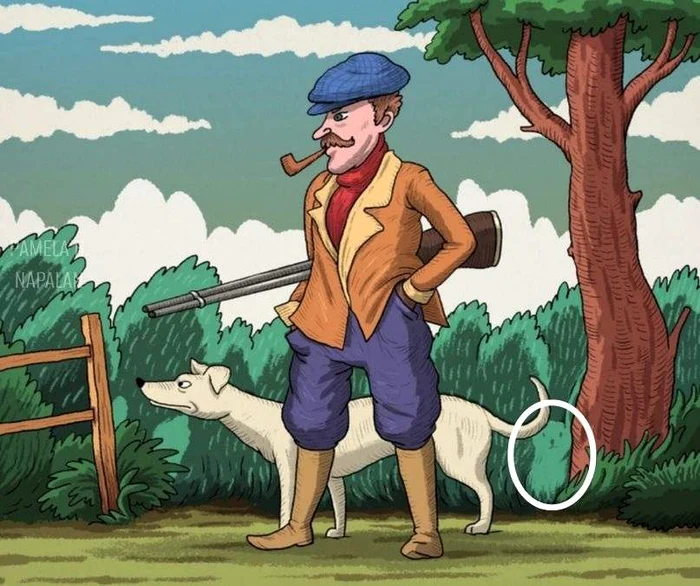 Rezolvarea testului