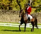 Karpathia Horse Show 