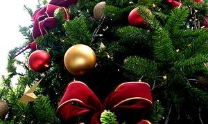  brad de craciun 0 jpeg