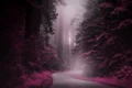 mystery 4532583 960 720 jpg