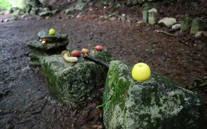 vladimir brilinsky sarmizegetusa regia foto daniel guta adevarul